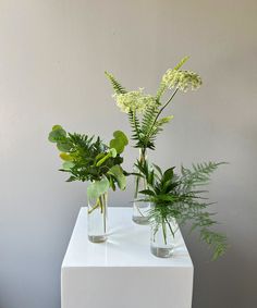 three vases filled with plants on top of a white table