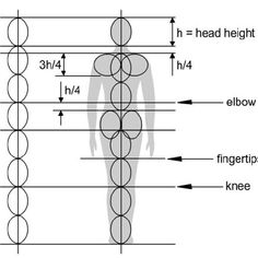 the height and width of a human figure with measurements for each individual's body