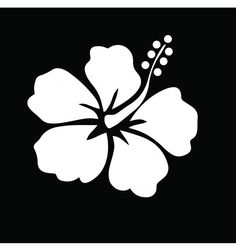 a white flower on a black background