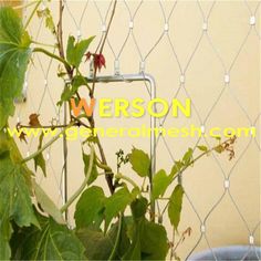 an image of a plant growing through a chain link fence with the words version written on it