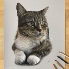 a drawing of a cat sitting on top of a table next to some pencils