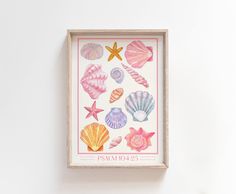 an art piece with seashells and starfish on it in a wooden frame