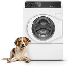 a brown and white dog laying next to a washing machine