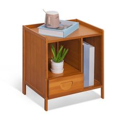 a small wooden table with a potted plant and books on the shelf next to it