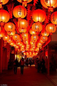 many red lanterns are hanging from the ceiling