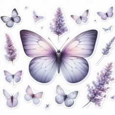 butterflies and lavenders stickers on a white background