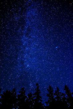 the night sky is filled with stars and trees