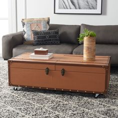 a living room area with a couch, coffee table and trunk on the carpeted floor