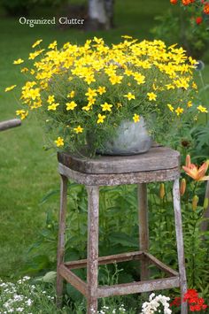 an old stool with flowers growing out of it in the grass next to a garden