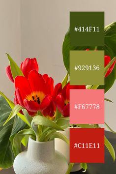 a vase filled with red flowers on top of a table next to a green plant