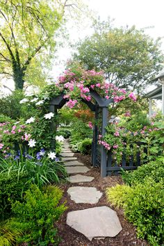 a garden with lots of flowers and trees