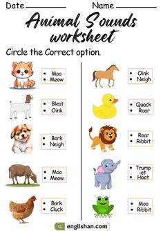 Animals sounds Worksheet - English Grammar Worksheets Kinds Of Animals Worksheets, Animals And Their Sounds Worksheets, English Kindergarten, Sounds Worksheet, Assignment Work