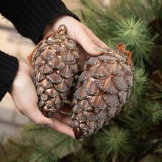 two pine cones are held in the palm of someone's hand, which is holding them