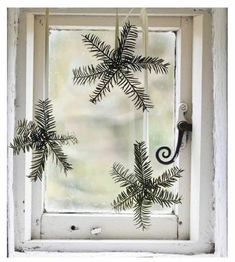 an old window with some plants growing out of the pane and hanging from it