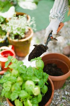 someone is digging in the dirt near some potted plants