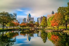 a city skyline is reflected in the still water of a pond on a cloudy day