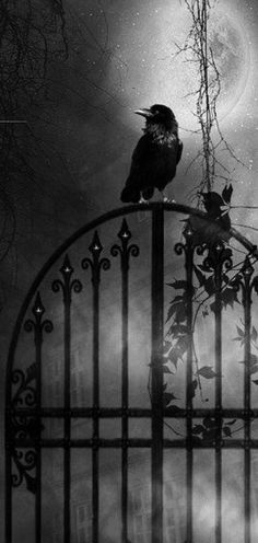 a black and white photo of a bird sitting on top of a gate with the moon in the background