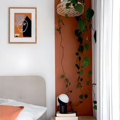 a bedroom with an orange accent wall and white bedding, along with a plant hanging over the headboard