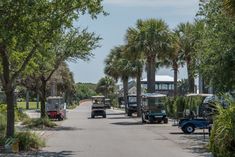 several golf carts parked on the side of a road with palm trees in the background