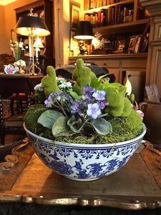 a blue and white bowl filled with plants on top of a wooden table in front of a book shelf