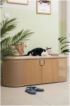 a black and white cat laying on top of a wooden cabinet next to shoes in a room