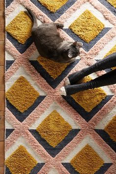 the cat is playing with the rug on the floor