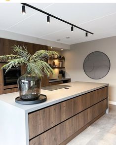 a plant is sitting on top of a counter in the middle of a large kitchen