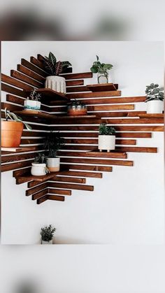 a living room filled with lots of potted plants on top of wooden shelving