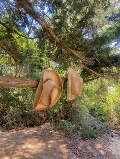 two hats hanging on a wooden fence in the woods, with trees and bushes behind them