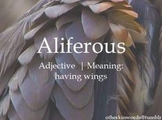 a close up of a bird with words above it that say, allerrous