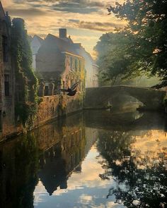 an image of a river that is in the middle of some buildings and trees on either side