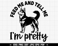 a black and white dog with the words feed me and tell me i'm pretty