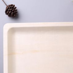 a pine cone sitting on top of a white tray next to a small pine cone