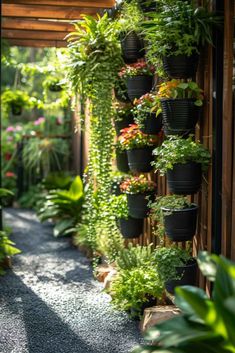 an outdoor garden with lots of potted plants on the wall and gravel path leading to it