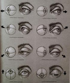 an image of various types of eyes and how to draw them