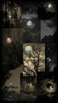 a collage of photos with trees and moon in the sky