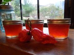 three jars filled with liquid sitting on top of a wooden table