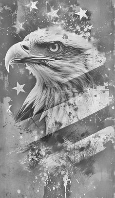 an eagle with the american flag painted on it's face and stars in the background