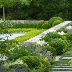 a garden filled with lots of different types of flowers and plants next to each other