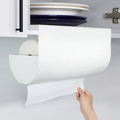 a person holding a roll of toilet paper in front of a wall mounted dishwasher