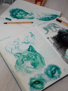 some drawings and pencils on top of a book with pictures of wolf's