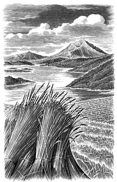 an ink drawing of mountains and grass in the foreground, with water on the far side