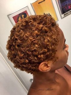 Dyed Natural Hair For Black Women Short Hairstyles, Short Curly Colored Hair Black Women, Honey Brown Pixie Cut, Short Natural Hair Color For Black Women, Short Copper Hair On Black Women, Ginger Pixie Haircut Black Women, Short Afro Wigs, Brown Pixie Cut