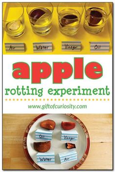 an advertisement for apple rooting experiment on a plate with four glasses in the background