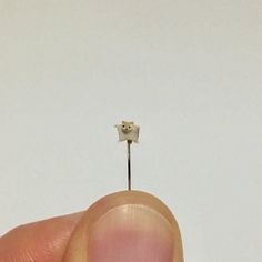 a tiny toothpick sticking out of the tip of someone's finger