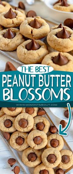 the best peanut butter blossom cookies recipe