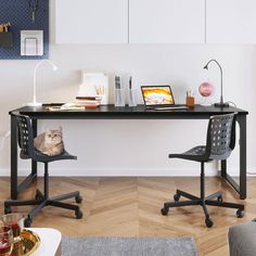 a cat sitting on a chair in front of a desk