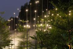 an outdoor area with many lights and trees in the foreground, fog coming from behind