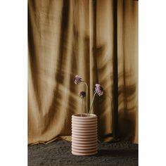 two flowers are in a pink vase against a brown background with black lace on the floor