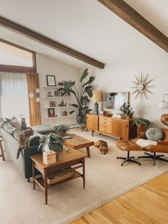 a living room filled with furniture and a cat sitting on top of a chair in front of a window